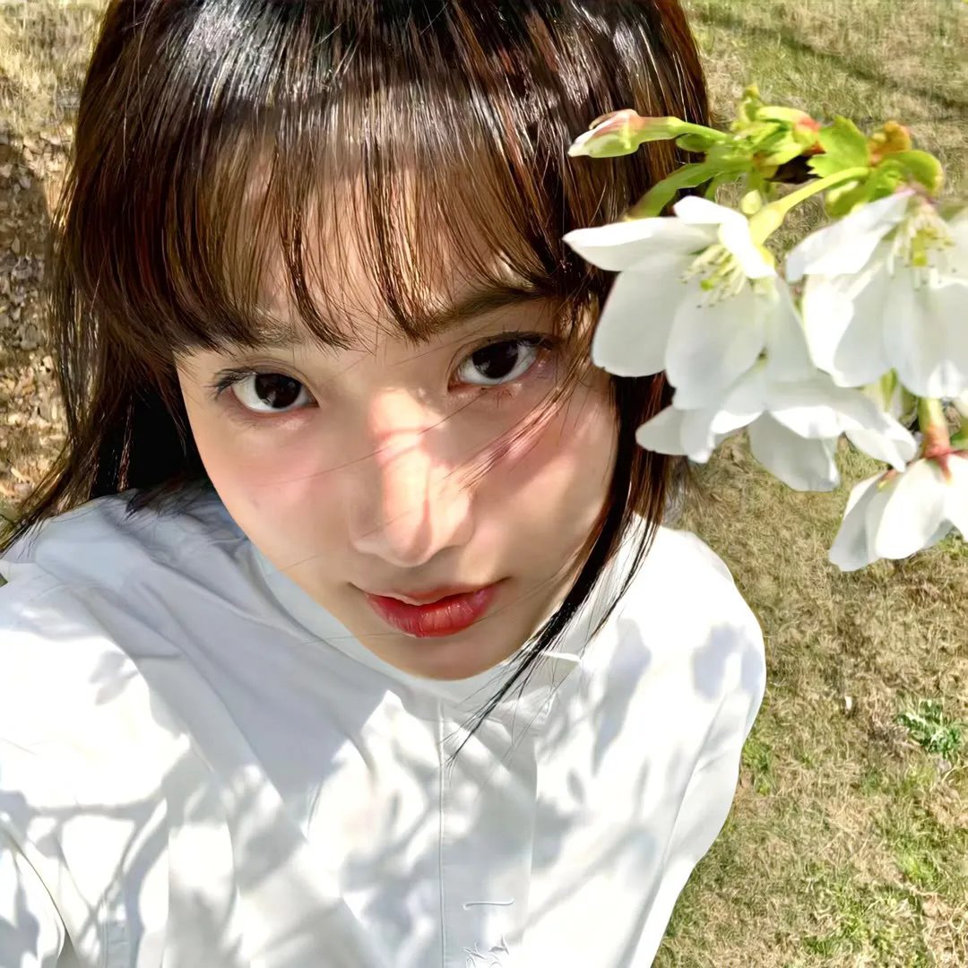飓风行动：303中队