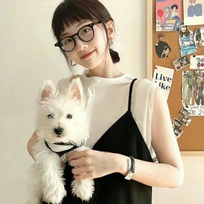 维京小海盗